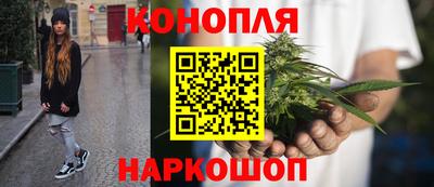 прущие грибы Донецк