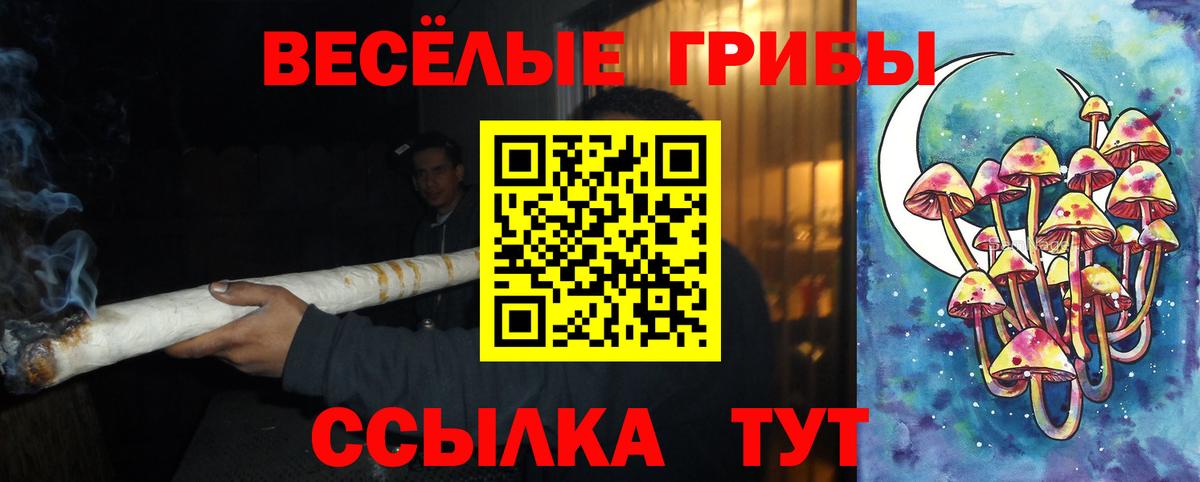 Донской  закладка  Вход с VPN  Галлюциногенные грибы Cubensis  Псилоцибиновые грибы Cubensis 