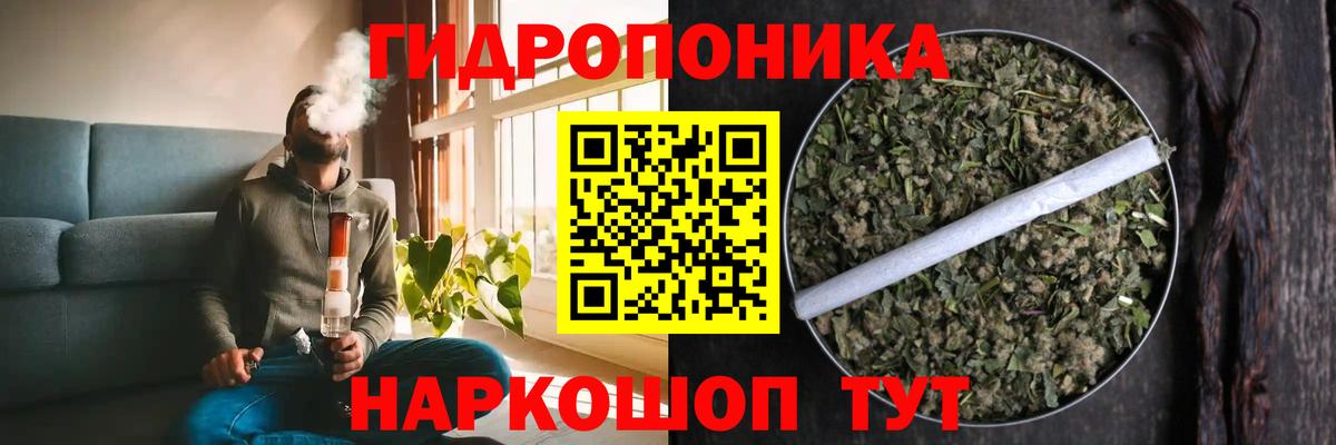 Конопля планчик Донской